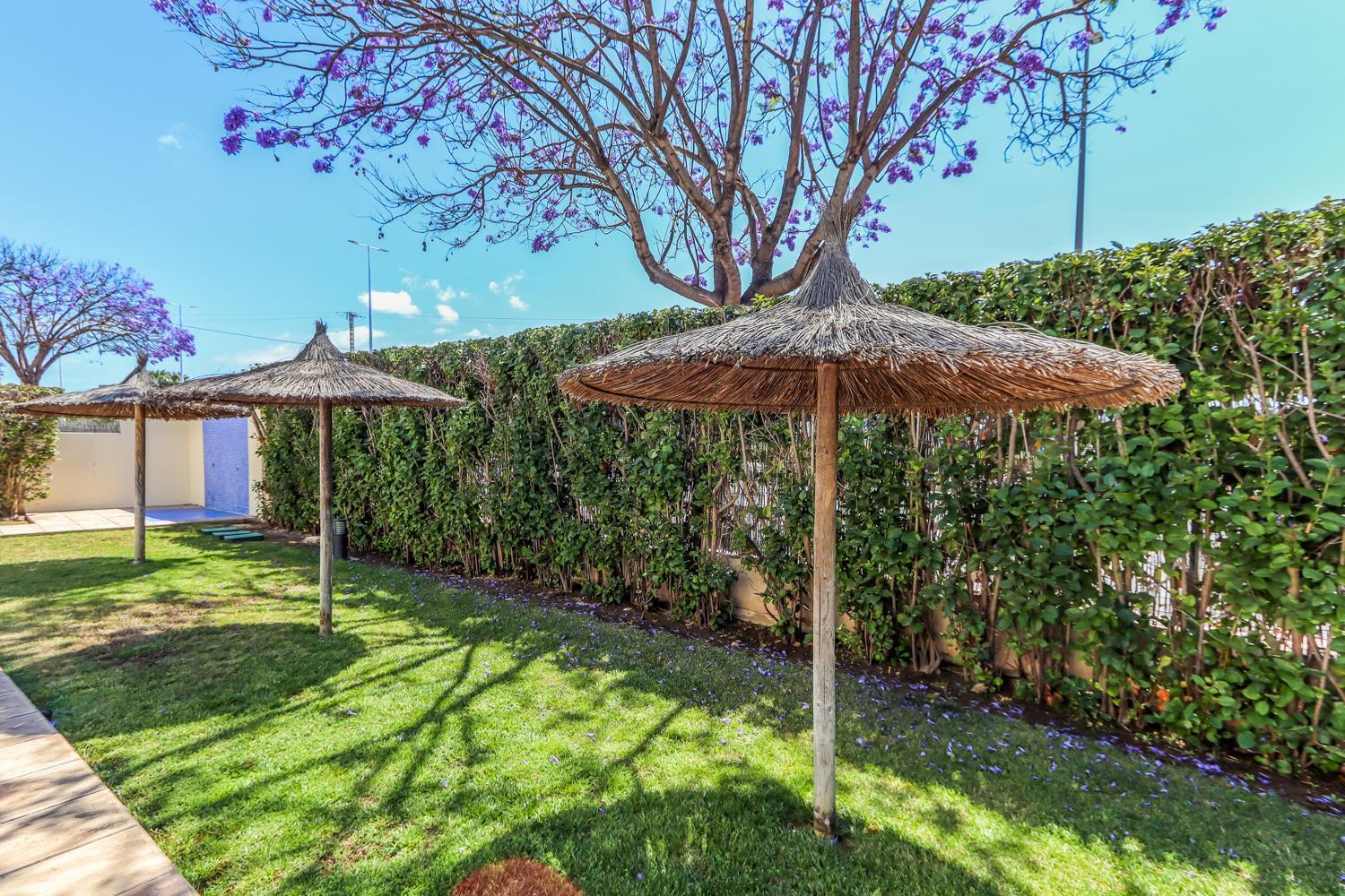 A Un Paso Del Mar Con Servicios Y Piscina 자베아 외부 사진